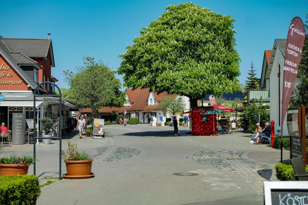 Ferienwohnungen Meerfarbig Zingst - Haustierfrei -Terrasse Mit Strandkorb Oder Balkon - E-Ladesaeule - Parkplatz - Wlan - Fahrradschuppen - Waschtrockner - Ruhig Und Zentral - Nichtraucher Exterior photo